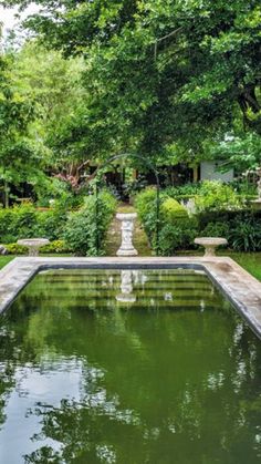 an outdoor pond surrounded by greenery and trees in the middle of a garden area