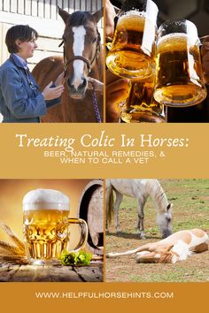 collage of photos with horses and beer