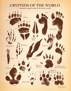 a poster with many different types of hand prints