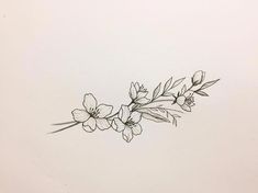 a black and white drawing of some flowers