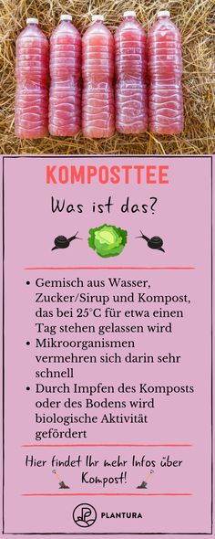 a pink sign that says kompostee was istt das? with four jars in