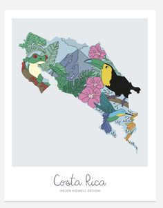 an illustrated map of costa rica with birds and flowers