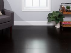 a living room with a couch, coffee table and potted plant on the floor