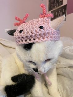 a cat wearing a crocheted hat on top of it's head