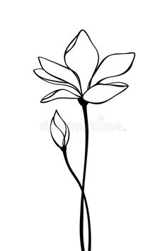 a single flower on a white background royalty illustration