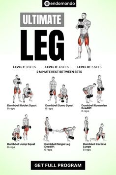 the ultimate leg workout guide for beginners to do squats and triceps