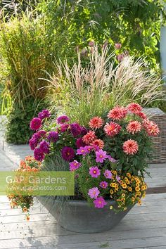 a large pot filled with lots of colorful flowers