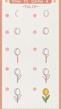 how to draw a tulip step - by - step instructions for kids and beginners