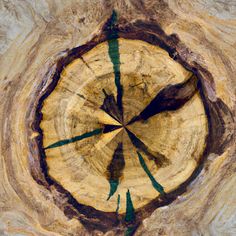 a tree stump with green marks in the center and an arrow drawn on it's side