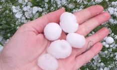 a hand holding cotton balls on top of some green grass and white snow flakes