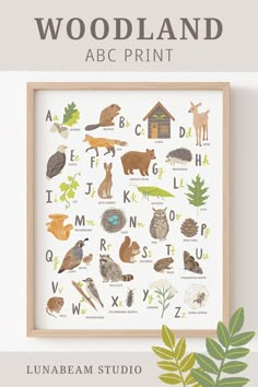 the woodland alphabet print is displayed in a wooden frame