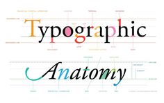 the words typographic and anatomy written in different colors