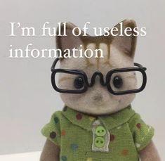 a small stuffed animal with glasses on it's face and the words i'm full of uses information