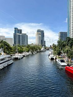 boats are parked along the river in front of high rise buildings and palm trees on either side