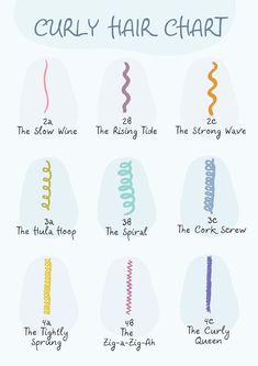 Curly Hair Type Chart - Etsy Best Curly Products For Natural Hair, Things To Ask For At The Hair Salon, Hair Painting Techniques Curly Hair, Braiding Hair Numbers, 4b Curly Hair Curl Pattern, Best Curly Hair Tools, Curly Hair Chart Curl Pattern, Curly Hair Number Chart, Hair Patterns Chart