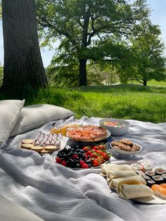 a picnic blanket with food on it in front of a tree and grassy area,