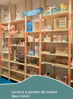 a store with shelves filled with toys and books