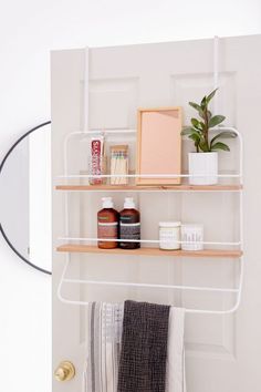 a bathroom shelf with some items on it and a potted plant in the corner