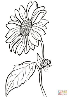 Sunflower coloring page | Free Printable Coloring Pages Sunflower Coloring Page, Hur Man Ritar Blommor, Sunflower Coloring, Printable Sunflower, Sunflower Sketches, Journal Drawings, Sunflower Stencil, Sunflower Coloring Pages, Leaf Coloring Page