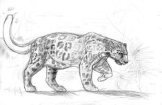 a drawing of a cheetah walking on the ground