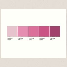 the pantone chart is shown in shades of pink