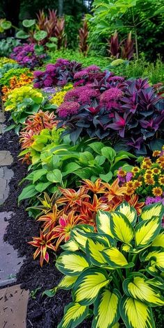 many different colored flowers in a garden