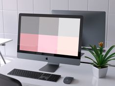 a computer monitor sitting on top of a desk next to a potted plant and keyboard