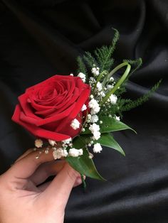 a hand holding a red rose with baby's breath