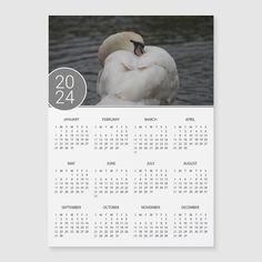 a calendar with a white swan sitting on it's back and the number twenty twenty