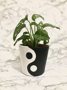 a potted plant with a black and white yin - yang symbol on the side