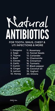 Natural antibiotics that can help ease minor tooth, throat, sinus and UTI infections plus tummy bugs, chest coughs and worms. These naturally antibiotic herbs and plants can be simply added to natural homemade remedies to help reduce antibiotic resistance. #naturalantibiotics #naturalremedies #sorethroat #toothinfection #sinusinfection Sick Remedies, Magia Das Ervas, Natural Healing Remedies, Natural Antibiotics, Herbal Healing, Home Health Remedies, Herbs For Health, Healing Herbs, Natural Health Remedies