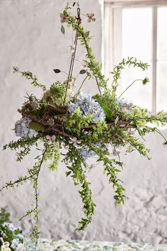 an arrangement of blue and green flowers hanging from a branch in front of a window