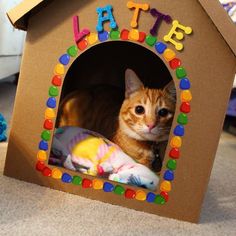 an orange cat sitting in a cardboard house