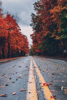 an empty road with fallen leaves on the side and trees lining both sides in fall