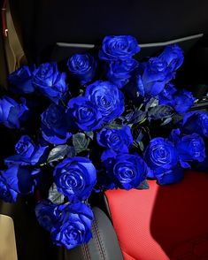 a bunch of blue roses sitting in the back seat of a car