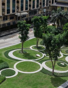 an aerial view of a park with trees, grass and circular designs on the ground