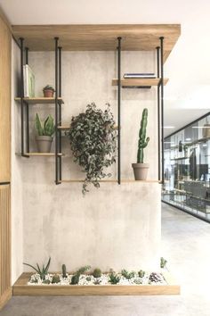 three shelves with plants and books on them in front of a wall mounted bookcase