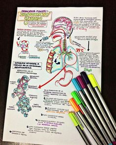 some markers and pens are on top of a piece of paper with an image of the human body