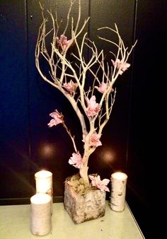 there is a small tree with pink flowers in the vase and candles on the table