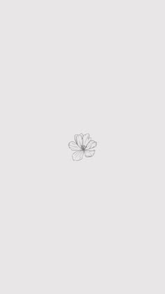 a single white flower floating in the air