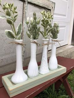 three white vases with plants in them sitting on a bench