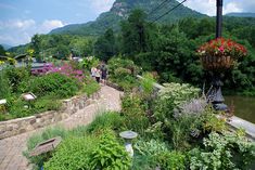 people are walking on the side walk near some flowers and trees, with a mountain in the background