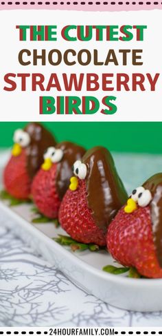 the cutest chocolate strawberry birds on a white plate