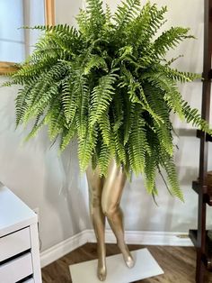 a large fern plant in a gold vase on top of a white mat next to a dresser