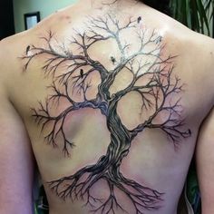 a man with a tree tattoo on his back