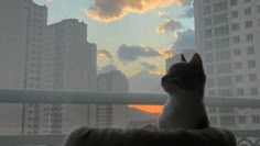 a cat sitting on top of a window sill looking out at the city skyline