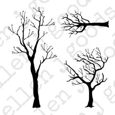 three trees with no leaves on them, one is black and the other is white