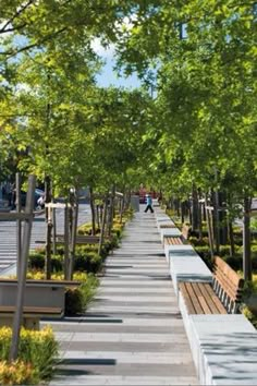 there are many benches lined up along the sidewalk in front of trees and bushes on both sides of the walkway