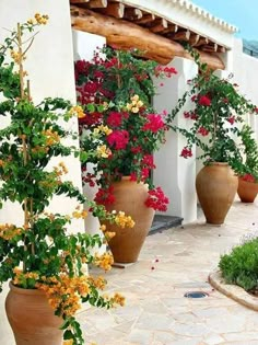 several large vases filled with colorful flowers on the side of a white building next to a walkway