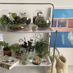 three tiered shelf with plants and books on it